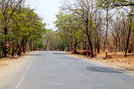 Rural Roads in India leading to the village at the distanceの写真素材