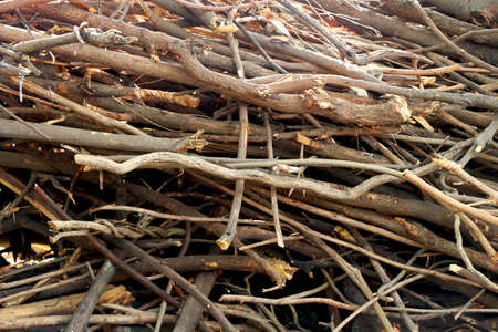 Bunch of dry wooden stick stack for fireの写真素材