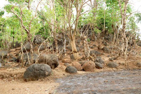 landscape view of Small Rocks at hill side with background of treesの写真素材