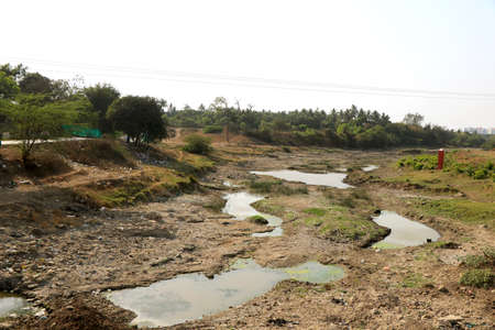 Landscape view of river get dry during summerの写真素材