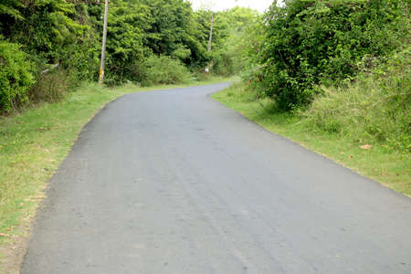 Asphalt road through the forest, with bike line alongの写真素材