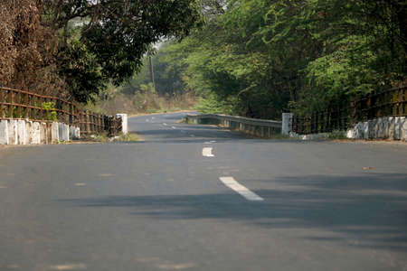 Asphalt road through the forest, with bike line alongの写真素材