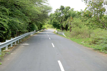 Asphalt road through the forest, with bike line alongの写真素材