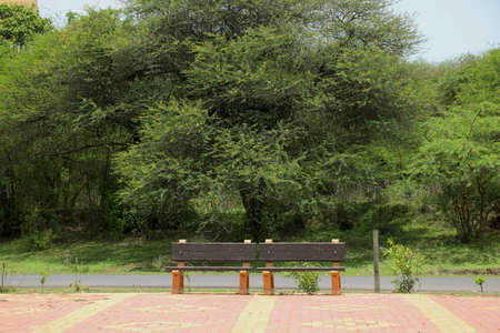 Rcc bench near road side for resting of long travel passenger bench, sitting, outdoor, green trees, road, design, street, exterior, aged, plank, chair, wood, relax, decoration, view, park, nature, furniture, seat, relaxation, garden, hardwood, object, board, wooden, rough, empty, decorative, concept, sit, flat, comfortable, rest, background, bench park, seat chair and sofa, trees and wood, concrete bench, bench in gardenの写真素材