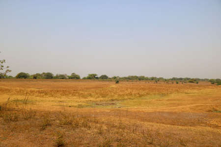 Landscape view of dry agriculture land during summer in Indiaの写真素材