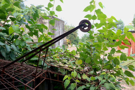 Rusted Iron pulley used in wells for getting water.の写真素材