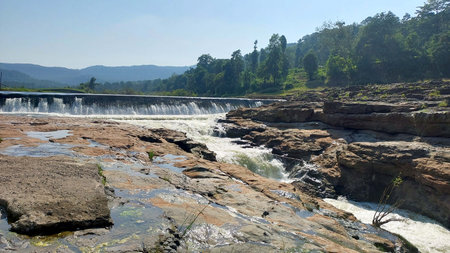Landscape view of Forest and waterfall in indiaの写真素材