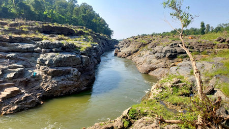 Landscape view of Forest and waterfall in indiaの写真素材