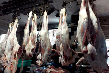 Fresh meat hanging in India meat marketの写真素材