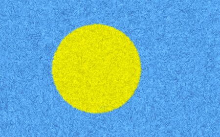 Palau flag carpet textured, fur or feather pattern, use as a background, the symbol of Palau country. National Freedom and Independence Sign wallpaper.の写真素材