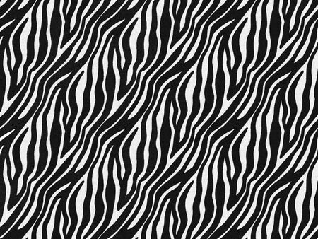 Zebra fur skin seamless pattern, carpet zebra hairy background, black and white texture, smooth, fluffy and soft, using brush to design the graphic. Animal skin print camouflage concept.の写真素材