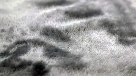 Grey wool fur pattern, Feather texture carpet design luxury for use as a background or paper element...