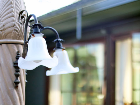 Vintage lamps black and white color with lightbulbs flowers shape decorative on the classic stone...