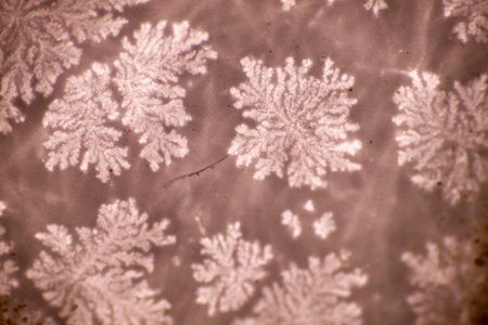 Analysis morphology of microplastic waste contaminated in soil and water sample full of plastic...