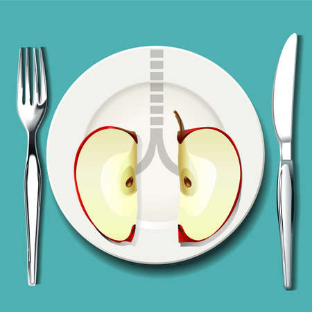 Vector of best food for your lungs. Smart food choices may help you breathe easier if you have asthma.のイラスト素材