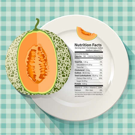 Vector of Nutrition facts in cantaloupe on white plateのイラスト素材