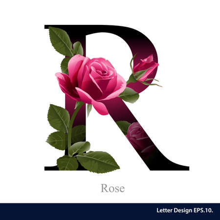 Letter R vector alphabet with rose  flower. ABC concept type . Typography designのイラスト素材