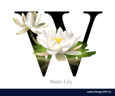 Letter W  vector alphabet with water lily. ABC concept type as logo. Typography designのイラスト素材