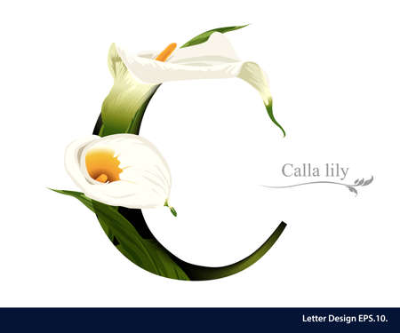 Letter C vector alphabet with calla lily flower. ABC concept type as logo. Typography designのイラスト素材