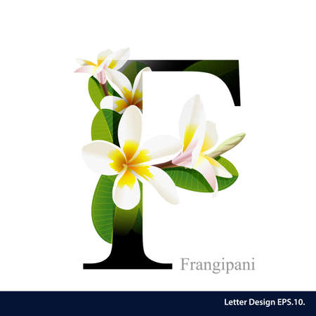 Letter F vector alphabet with frangipani flower. ABC concept type. Typography designのイラスト素材
