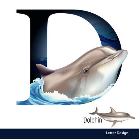 illustration of Letter D for Dolphin alphabet. English abc with animals Education on White background.のイラスト素材