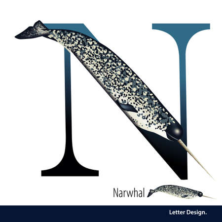 illustration of Letter N is Narwhal alphabet. English abc with animals Education on White background.のイラスト素材