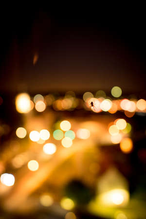 Spider backlit by a colorful glow and bokeh of city lights shining in the darkness viewed as a silhouetteの写真素材