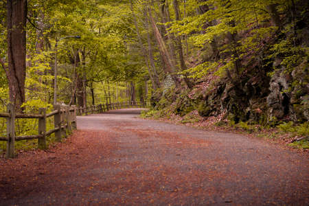 Meandering dirt road or hiking trail, through lush green forests in Philadelphia with a rustic wooden fence and leafy green woodland treesの写真素材