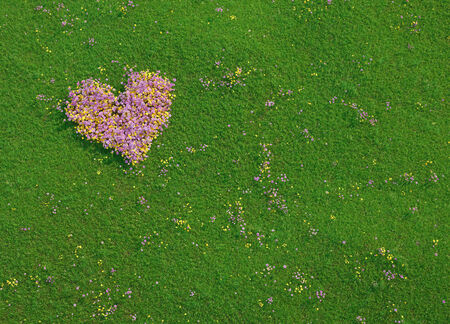 Heart shape made of pink and yellow flowers on a spring meadow, copy space, conceptual designの写真素材