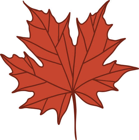 Maple red leaf vector minimalistic image. Label, print.のイラスト素材