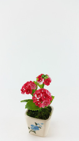 Red miniature hand craft flower on white backgroundの写真素材