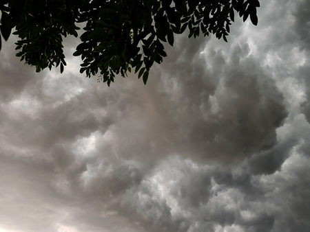 Dark stormy clouds on the sky with silhouette leaves on the foregroundの写真素材