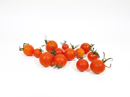 Fresh tomatoes on white backgroundの写真素材