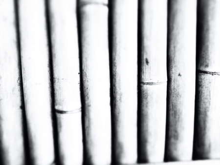 Bamboo black and whiteの素材
