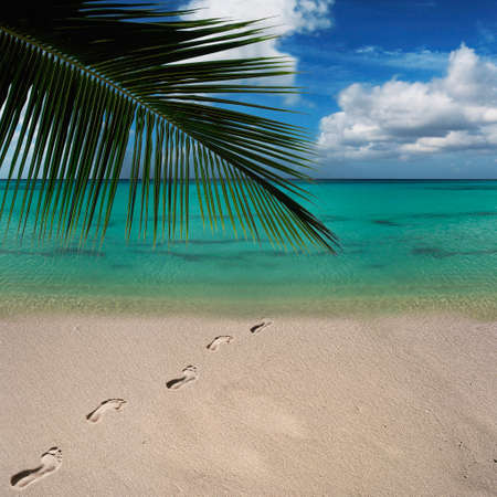 Foot prints in the tropical beach sand, leading to the turquoise waterの写真素材