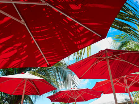 Bright red garden umbrellas and leaves of palm treeの写真素材