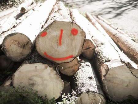 Cut tree trunks and smiling trunk in a green forestの写真素材