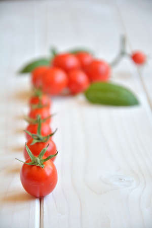 tomatoes arranged in a lineの写真素材