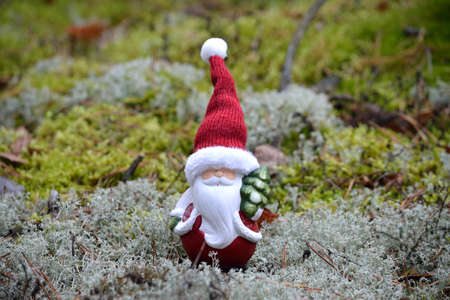 Christmas on the green mossの写真素材