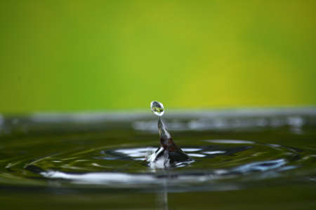 Water splash on the green backgroundの写真素材