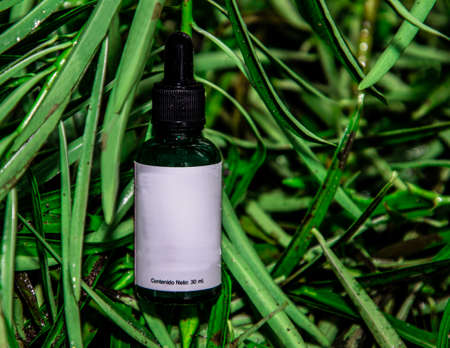 Small green container of natural medicine with a dropper on a green leavesの写真素材