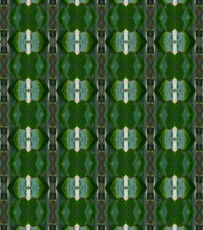 Leaves design