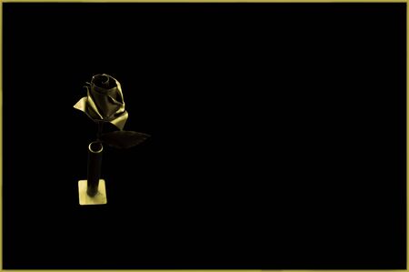 Metal roseの写真素材