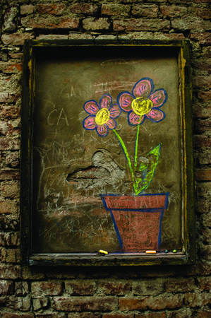 Flowers in the concreteの写真素材