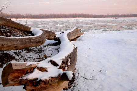 Dry tree trunk and a winter dawn on the river bank