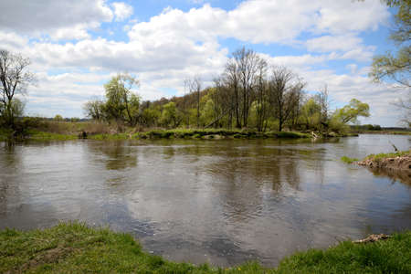 A tree above the river bend and the blue sky