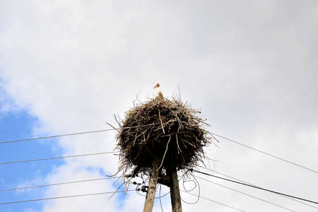 Stork nest on a pole against a background of clouds