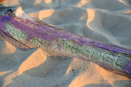 A wooden beach stump with the words "take me to the edge"の写真素材
