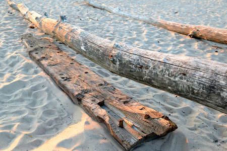 wooden logs on the beach brought by the waterの写真素材