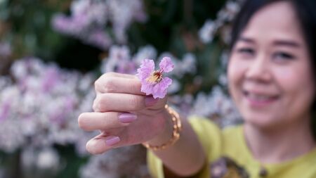 Close-up to spring flowers with smiling asian womanの写真素材